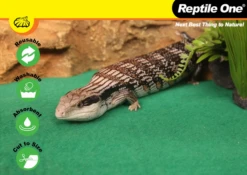 Reptile One Reptile Enclosure Carpet Reusable 45x60cm -Sea View Aquarium Shop enclosurecarpet