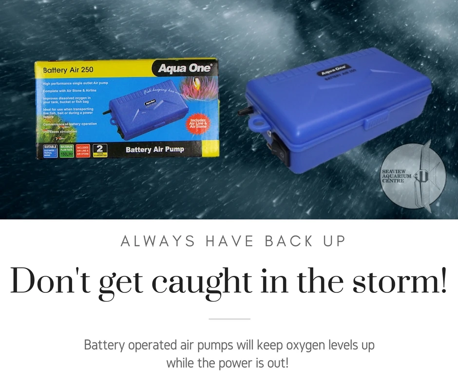 Aqua One 150 Battery Air Pump (Splash Resistant) 4 Aqua One 150 Battery Air Pump (Splash Resistant) - Image 2