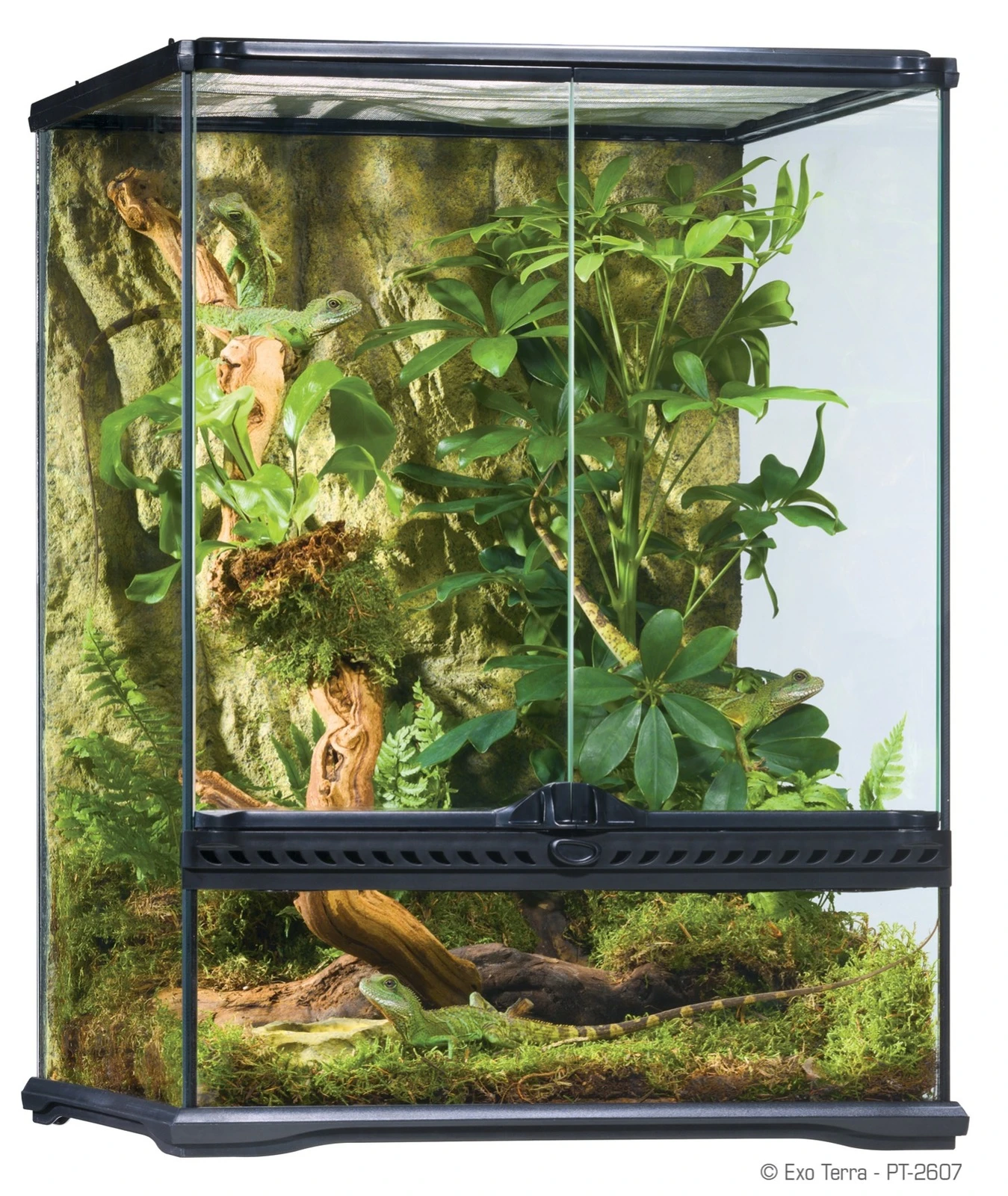 Exo Terra All Glass Small Tall Terrarium 45x45x60cm 4 Exo Terra All Glass Small Tall Terrarium 45x45x60cm - Image 2