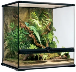 Exo Terra All Glass Medium Tall Terrarium 60x45x60cm -Sea View Aquarium Shop exoterrapt26122