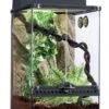 Exo Terra Rainforest Habitat Kit SMALL -Sea View Aquarium Shop exoterrarainforessmall