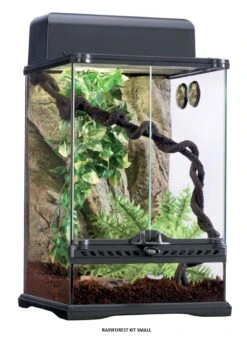 Exo Terra Rainforest Habitat Kit SMALL