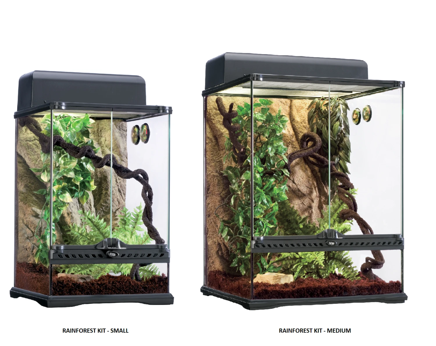 Exo Terra Rainforest Habitat Kit SMALL 5 Exo Terra Rainforest Habitat Kit SMALL - Image 3