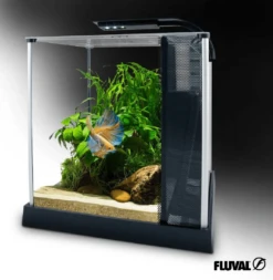 Fluval Betta Premium Aquarium Kit 10L -Sea View Aquarium Shop fluvalbettakit