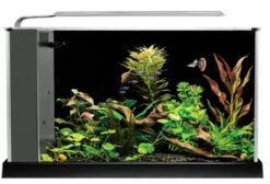 Fluval Spec 5 Desktop Aquarium 19L Black