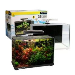 Aqua One Focus 36 Aquarium - BLACK