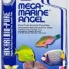 Hikari Bio-Pure Mega Marine Angel 100g 32 Cubes -Sea View Aquarium Shop hikaribiomegamarineangel100g32cubes