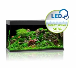 Juwel Rio 350 LED Aquarium - Black