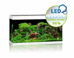 Juwel Rio 350 LED Aquarium - Black -Sea View Aquarium Shop juwel350whiteaquarium