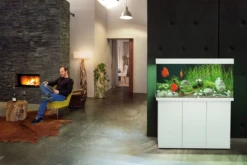 Juwel Rio 180 LED Aquarium - Black -Sea View Aquarium Shop juwelaquariumsetlivingroom