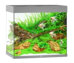 Juwel Lido 120 LED Aquarium - Black -Sea View Aquarium Shop juwelgreylido120new