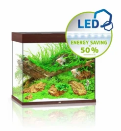 Juwel Lido 200 LED Aquarium - Grey -Sea View Aquarium Shop juwellido200darkwoodaquarium