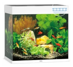 Juwel Lido 120 LED Aquarium - Black -Sea View Aquarium Shop juwellidowhite120