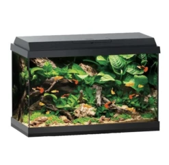 Juwel Primo 70 White -Sea View Aquarium Shop juwelprimo6070ledaquariumblack