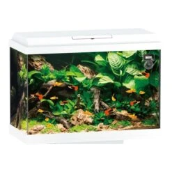 Juwel Primo 70 White