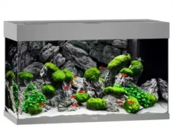Juwel Rio 125 LED Aquarium - Black -Sea View Aquarium Shop juwelrio125darkgreyaquarium