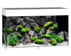 Juwel Rio 125 LED Aquarium - Black -Sea View Aquarium Shop juwelrio125whiteaquarium