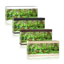 Juwel Rio 240 LED Aquarium - White -Sea View Aquarium Shop juwelrio240aquariumonlyset