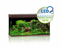 Juwel Rio 350 LED Aquarium - Black -Sea View Aquarium Shop juwelrio350aquariumdarkwood