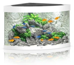 Juwel Trigon 190 LED Corner Aquarium - Black -Sea View Aquarium Shop juwelwhitetrigon190