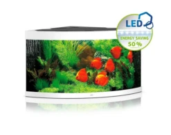 Juwel Trigon 350 LED Corner Aquarium - Black -Sea View Aquarium Shop jwl149whitetrigon350aquarium