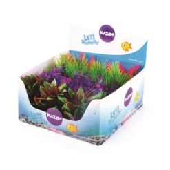 Kazoo Mini Plants Assorted