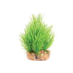 Kazoo Mini Plants Assorted -Sea View Aquarium Shop kazoominiplantsassortedgreen