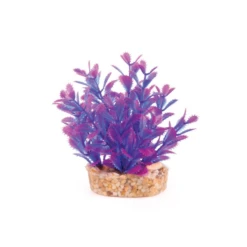 Kazoo Mini Plants Assorted -Sea View Aquarium Shop kazoominiplantsassortedpurple