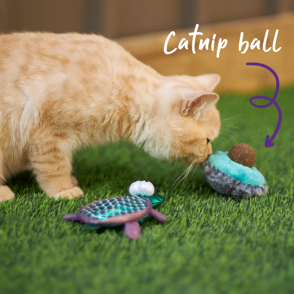 Kazoo Playful Avocado 4 Kazoo Playful Avocado - Image 2