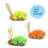 Kazoo Soft Coral With Fern -Sea View Aquarium Shop kazoosoftcoralwithfern