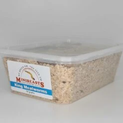 Minibeasts King Mealworms 50g