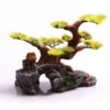 Large Bonsai -Sea View Aquarium Shop largebonsai