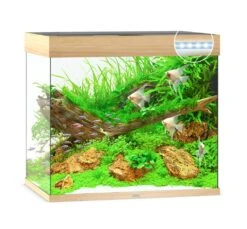 Juwel Lido 200 LED Aquarium - Grey -Sea View Aquarium Shop lido200lightwood