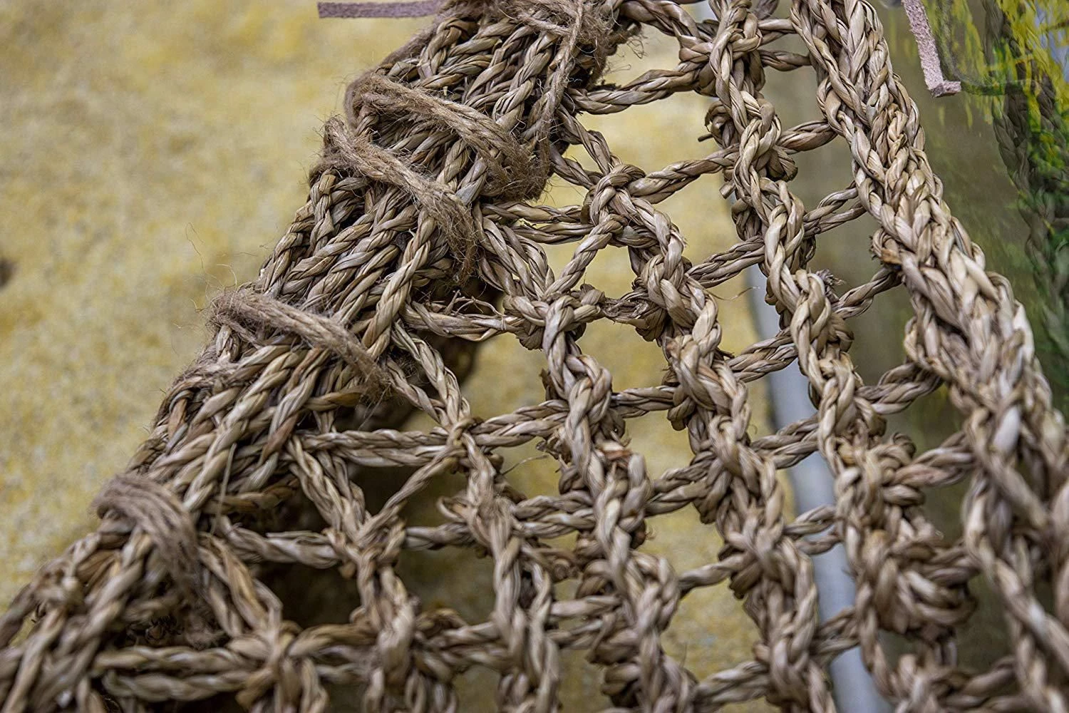 Penn Plax Lizard Loungers Window Hammock 5 Penn Plax Lizard Loungers Window Hammock - Image 3