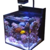 Red Sea MAX Nano Cube -Sea View Aquarium Shop maxnanoaquarium
