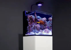 Red Sea MAX Nano Cube -Sea View Aquarium Shop maxnanoredsea