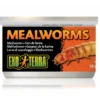 Exo Terra Mealworms 34gm -Sea View Aquarium Shop mealworm