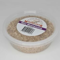 Minibeasts Mini Mealworms 25g