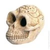 Mini Skull 2 Mini Skull -Sea View Aquarium Shop miniskull