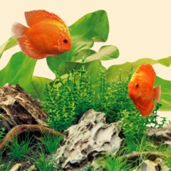 Juwel Nature LED Light Tube 590mm 14w -Sea View Aquarium Shop natureledjuwel