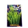 Amazon Jungle Micro Fern Display 20cm -Sea View Aquarium Shop ngd33