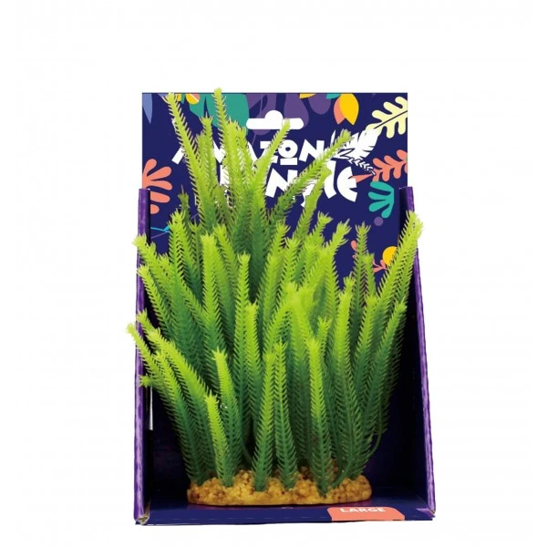 Amazon Jungle Micro Fern Display 20cm 3 Amazon Jungle Micro Fern Display 20cm