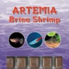 Ocean Nutrition Frozen Artemia 100g 1 Ocean Nutrition Frozen Artemia 100g -Sea View Aquarium Shop onfrozenartemia