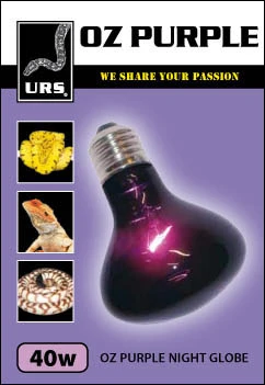 URS Oz Purple Small Night Globe 40W