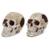Penn Plax Skull Gazers 17.2cm (RR1202) -Sea View Aquarium Shop ppo7