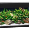 Juwel Primo 110 Black (110L) -Sea View Aquarium Shop primoblack110