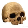 Exo Terra Primate Skull Large -Sea View Aquarium Shop pt2855 primate skull