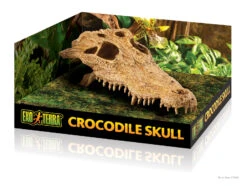 Exo Terra Crocodile Skull Medium -Sea View Aquarium Shop pt2856 crocodile skull packaging