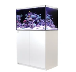 Red Sea REEFER G2+ 250 BLACK -Sea View Aquarium Shop redseag2white250