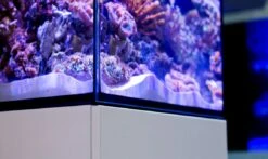 Red Sea MAX Nano Peninsula -Sea View Aquarium Shop redseamaxnano8